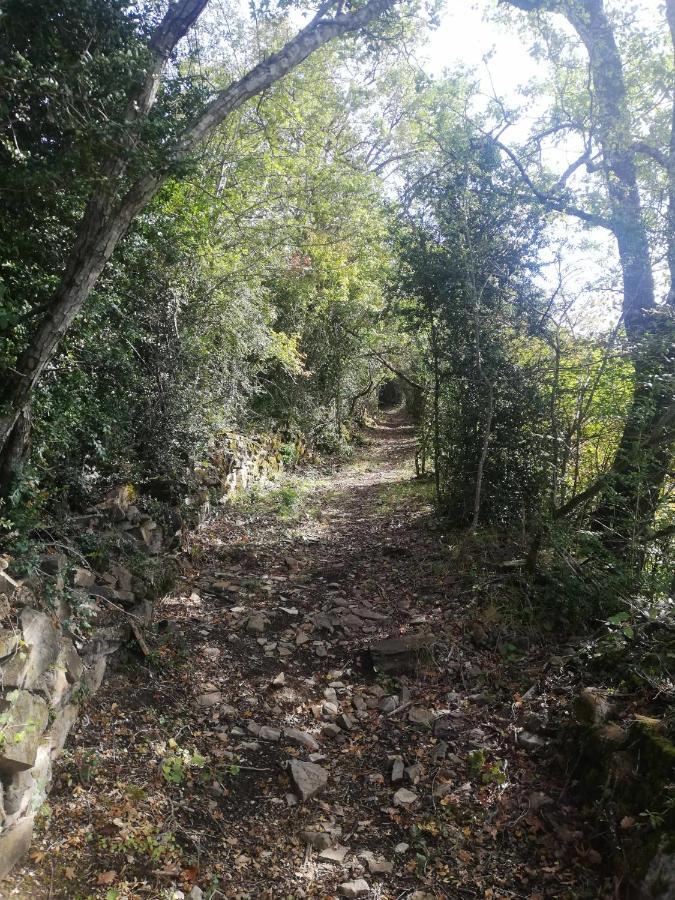 Casa Cotefablo Aloj Sorrosal Gavin Biescas Διαμέρισμα Εξωτερικό φωτογραφία
