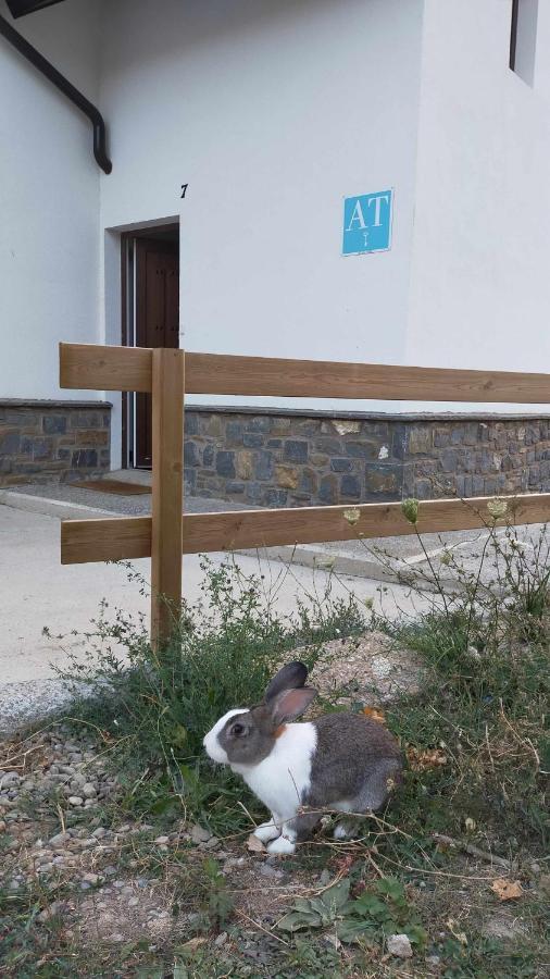 Casa Cotefablo Aloj Sorrosal Gavin Biescas Διαμέρισμα Εξωτερικό φωτογραφία